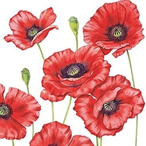 German Decoupage Napkins (5 pcs) - Romantic Poppy