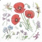 German Decoupage Napkins (5 pcs)  - Poppy Harmony