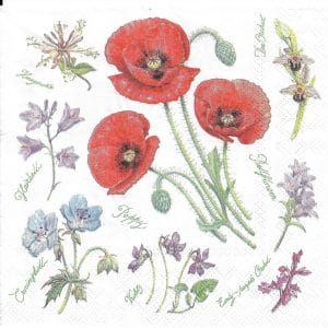 German Decoupage Napkins (5 pcs) - Poppy Harmony