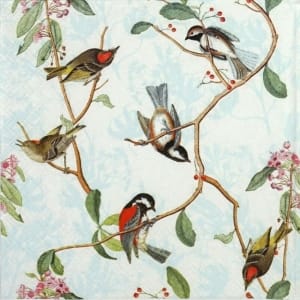 German Decoupage Napkins (5 pcs) - Birdsong