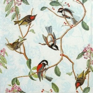 German Decoupage Napkins (5 pcs) - Birdsong