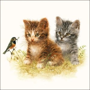 German Decoupage Napkins (5 pcs) - Kittens