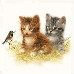German Decoupage Napkins (5 pcs)  - Kittens