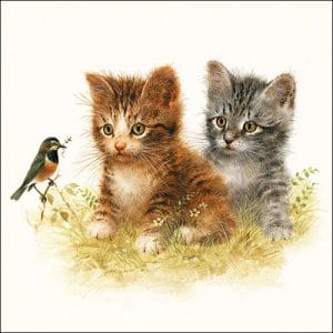 German Decoupage Napkins (5 pcs) - Kittens