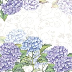 A pack of 12 by 12 inch German Decoupage Napkins (5 pcs) - Hortensia
