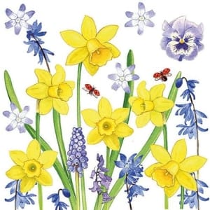 German Decoupage Napkins (5 pcs) - Narcissus Love (Flowers)