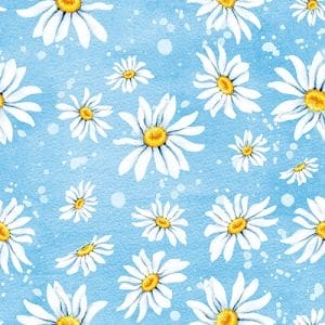 A pack of 12 by 12 inch German Decoupage Napkins (5 pcs) - Dasies Blue