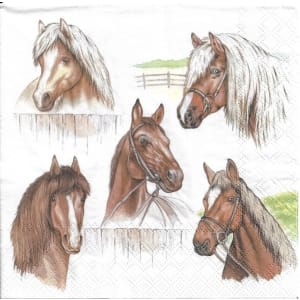 German Decoupage Napkins (5 pcs) - Horse Range