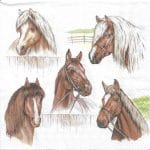 German Decoupage Napkins (5 pcs)  - Horse Range