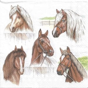 German Decoupage Napkins (5 pcs) - Horse Range