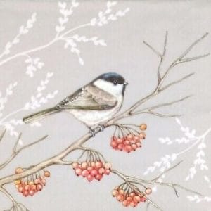 German Decoupage Napkins (5 pcs) - Bird on Branch Grey