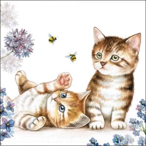 German Decoupage Napkins (5 pcs) - Cats and Bees