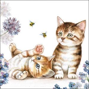 German Decoupage Napkins (5 pcs) - Cats and Bees