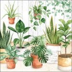 A pack of 12 by 12 inch German Decoupage Napkins (5 pcs)  - Urban Jungle