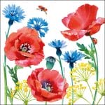 A pack of 12 by 12 inch German Decoupage Napkins (5 pcs)  - Cornflower and Poppy