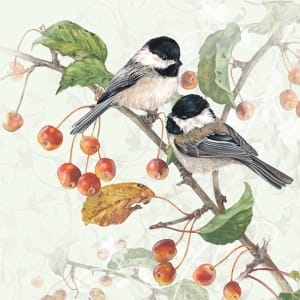 German Decoupage Napkins (5 pcs) - Chickadee (Birds)