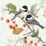 German Decoupage Napkins (5 pcs)  - Chickadee (Birds)