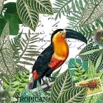 German Decoupage Napkins (5 pcs)  - Tropicana