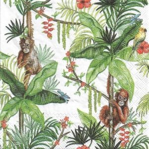 German Decoupage Napkins (5 pcs) - Orangutan White
