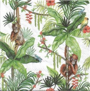 German Decoupage Napkins (5 pcs) - Orangutan White
