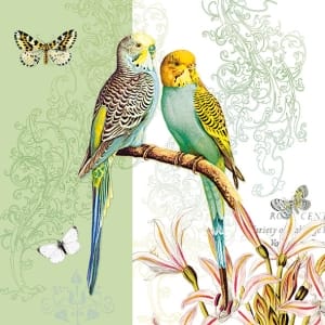 German Decoupage Napkins (5 pcs) - Budgies Green (Birds)