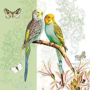 German Decoupage Napkins (5 pcs) - Budgies Green (Birds)