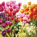 German Decoupage Napkins (5 pcs)  - Tulips