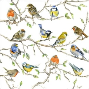 German Decoupage Napkins (5 pcs) - Birds Meeting