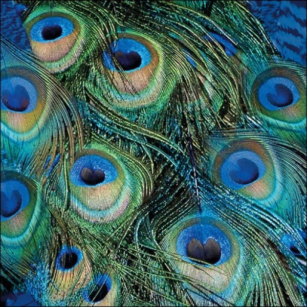 German Decoupage Napkins (5 pcs) - Peacock Feathers
