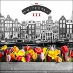 German Decoupage Napkins (5 pcs)  - Canal Flowers