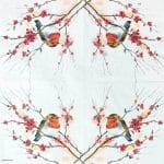 German Decoupage Napkins (5 pcs)  - Birdy Robin
