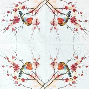 German Decoupage Napkins (5 pcs) - Birdy Robin