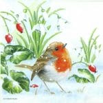 German Decoupage Napkins (5 pcs)  - Robin (Bird)