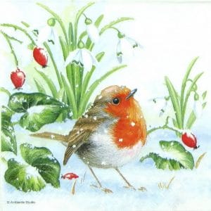 German Decoupage Napkins (5 pcs) - Robin (Bird)
