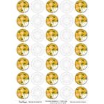 CrafTangles A4 Transfer It Sheets - Pichwai Design 2