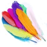 Artificial Feathers (10 pcs)