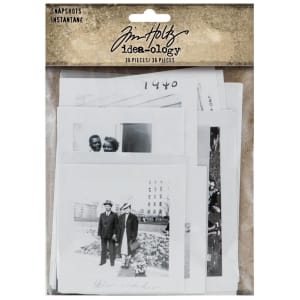 Tim Holtz Idealogy Snapshots 36/Pkg