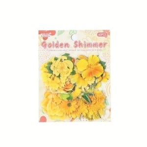 Journal Ephemera Clear PET Sticker Pack (60 pcs) – Golden Shimmer (YRHY)