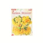 Journal Ephemera Clear PET Sticker Pack (60 pcs) – Golden Shimmer (YRHY)