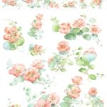 PET Sticker Roll - Flowers 7 (3.25 inches by 3 metres)