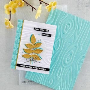spellbinder_3d_embossing_folders_E3D-028_1