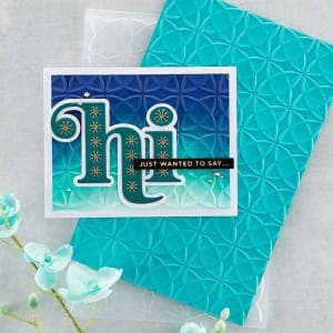spellbinder_3d_embossing_folders_E3D-035_1