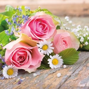 German Decoupage Napkins (5 pcs) - Roses Pink