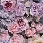 German Decoupage Napkins (5 pcs)  - Winter Roses