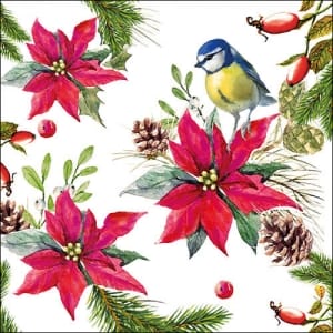 German Decoupage Napkins (5 pcs) - Bird on Poinsettia White