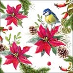 German Decoupage Napkins (5 pcs)  - Bird on Poinsettia White