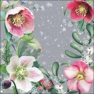 German Decoupage Napkins (5 pcs) - Helleborus Grey (Flowers)