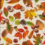 German Decoupage Napkins (5 pcs)  - Autumn Festival