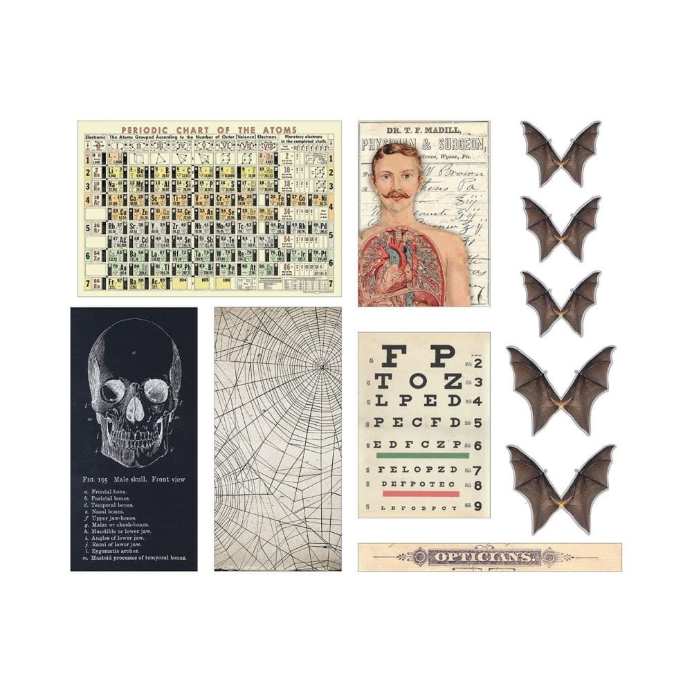 Tim Holtz Idealogy Transparencies 11/Pkg - Halloween tim holtz transparencies TH94272 1 tim_holtz_transparencies_TH94272_1