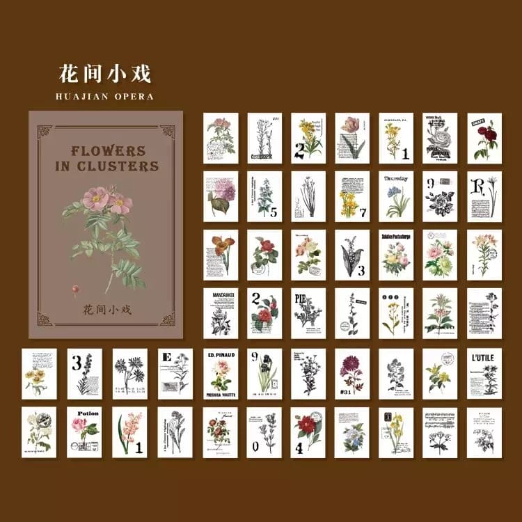 Journal Ephemera Pack (50 pcs) - Flower in Clusters 50pcs journalling ephemera YXSCB035 Journal Ephemera Pack (50 pcs) - Flower in Clusters
